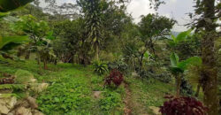 FINCA EN CACHIPAY-ZIPACON