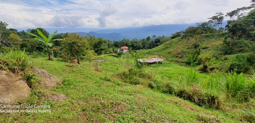 SE VENDE O  SE PERMUTA FINCA